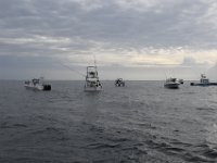 DSC 0786