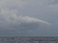 DSC 0799