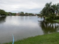 DSC 0805