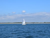 DSC 0056
