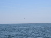 DSC 0074