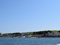 DSC 0103