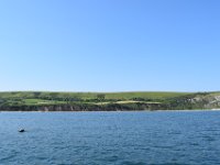 DSC 0118