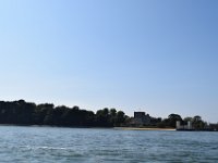 DSC 0132