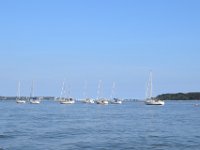 DSC 0142