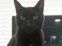 DSC 0038