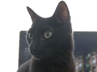DSC 0044