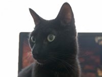 DSC 0045