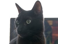 DSC 0046