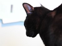 DSC 0746