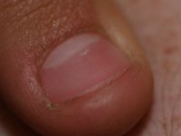 DSC 0776