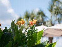 DSC 5813