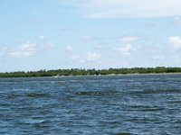 DSC 4587 : Pine Island