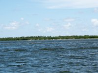 DSC 4588 : Pine Island