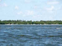 DSC 4589 : Pine Island