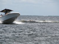 DSC 4622 : Pine Island
