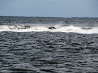 DSC 4624 : Pine Island