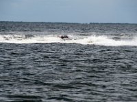 DSC 4625 : Pine Island