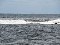 DSC 4626 : Pine Island