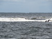DSC 4627 : Pine Island