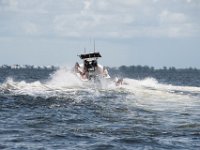 DSC 4705 : Pine Island