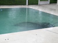 DSC 5091 : Hurricane Irma