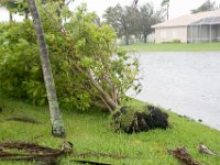 DSC 5102 : Hurricane Irma