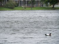 DSC 5105 : Hurricane Irma