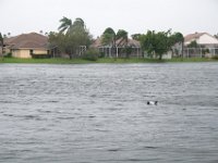 DSC 5106 : Hurricane Irma