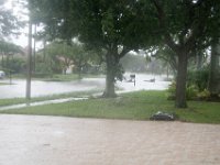 DSC 5113 : Hurricane Irma