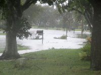 DSC 5114 : Hurricane Irma