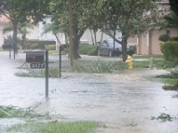 DSC 5118 : Hurricane Irma
