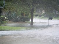 DSC 5120 : Hurricane Irma