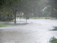 DSC 5121 : Hurricane Irma