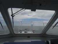 DSC05366