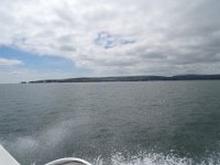 DSC05367