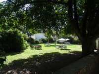 DSC05386