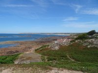 DSC05406