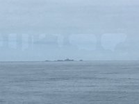IMG 6932