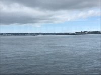 IMG 6941