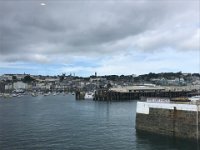 IMG 6950