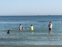 IMG 7189