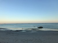 IMG 7215