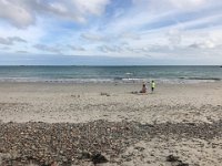 IMG 7442
