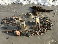 IMG 7460