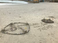 IMG 7581