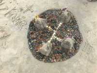 IMG 7589