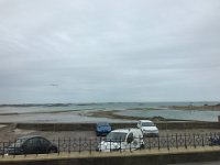 IMG 7591