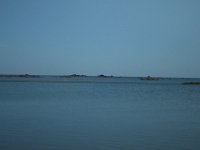 DSC 2428