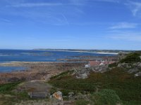 DSC 2452